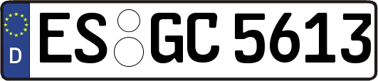 ES-GC5613