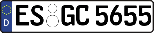 ES-GC5655