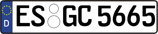 ES-GC5665
