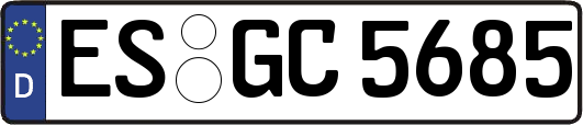 ES-GC5685