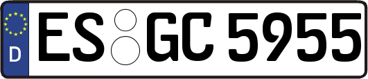 ES-GC5955