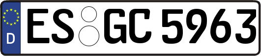 ES-GC5963