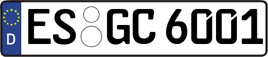 ES-GC6001