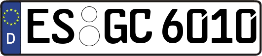 ES-GC6010