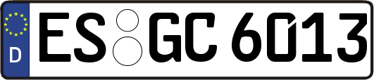 ES-GC6013