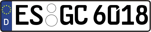 ES-GC6018