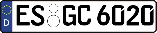 ES-GC6020