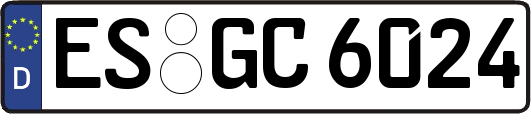 ES-GC6024