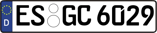 ES-GC6029