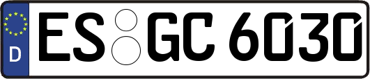 ES-GC6030