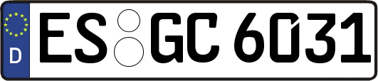 ES-GC6031
