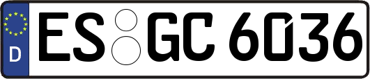 ES-GC6036