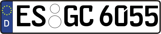 ES-GC6055