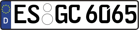 ES-GC6065