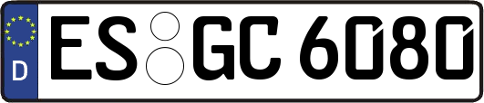 ES-GC6080
