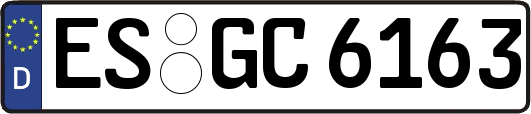 ES-GC6163