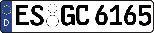 ES-GC6165