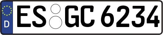 ES-GC6234