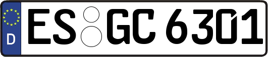 ES-GC6301