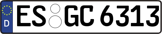 ES-GC6313