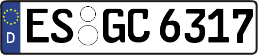 ES-GC6317