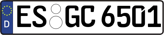 ES-GC6501