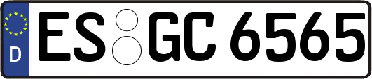 ES-GC6565