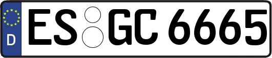 ES-GC6665