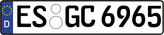 ES-GC6965