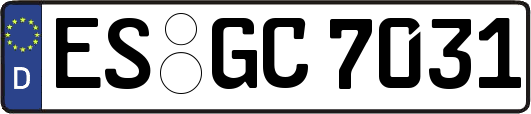 ES-GC7031