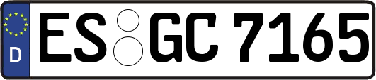 ES-GC7165