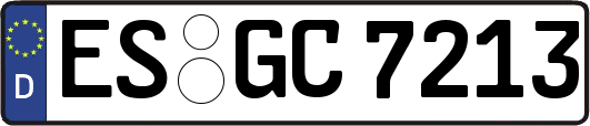 ES-GC7213