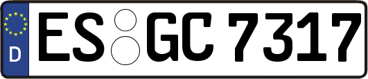 ES-GC7317