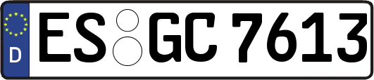 ES-GC7613