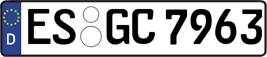 ES-GC7963