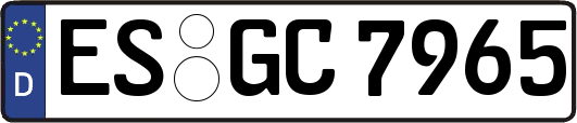 ES-GC7965