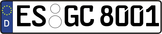 ES-GC8001