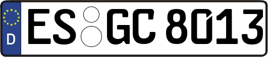 ES-GC8013
