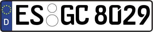 ES-GC8029