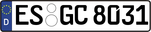 ES-GC8031