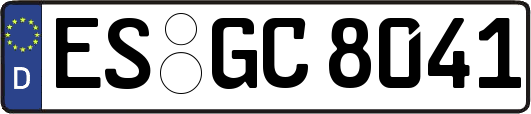 ES-GC8041
