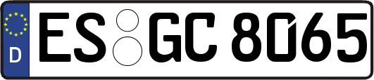 ES-GC8065