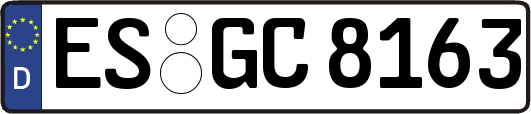 ES-GC8163