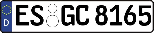ES-GC8165