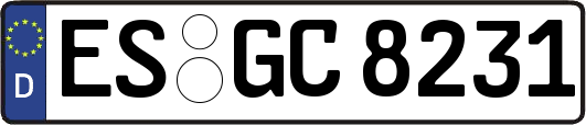 ES-GC8231