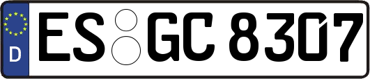ES-GC8307