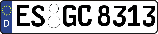 ES-GC8313