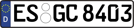 ES-GC8403