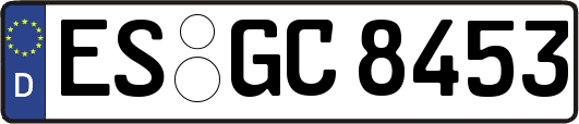 ES-GC8453