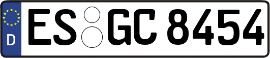 ES-GC8454